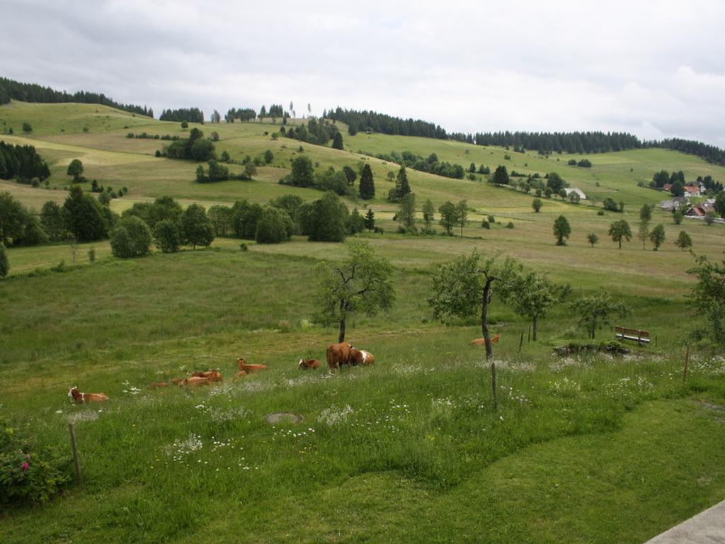 Hotel Haus Tannenhof Ibach Zewnętrze zdjęcie